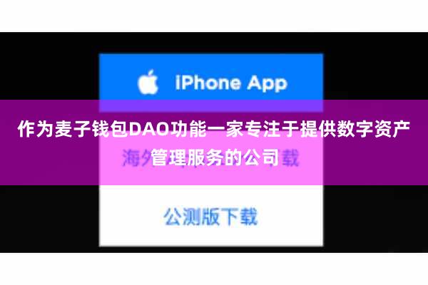 作为麦子钱包DAO功能一家专注于提供数字资产管理服务的公司