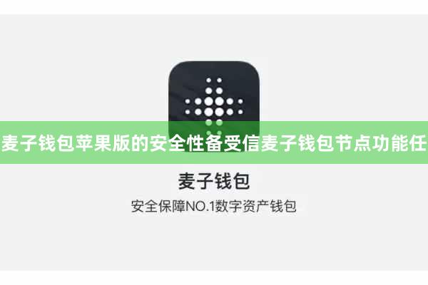 麦子钱包苹果版的安全性备受信麦子钱包节点功能任