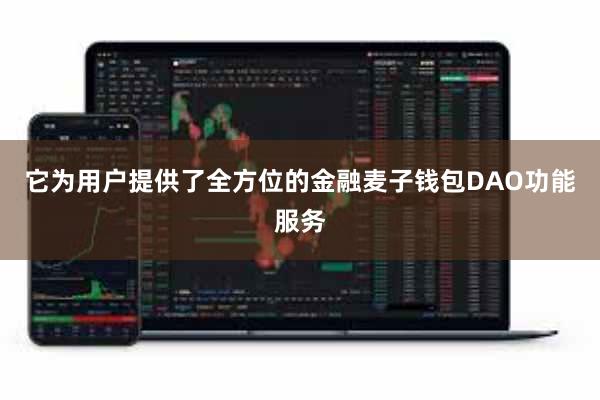 它为用户提供了全方位的金融麦子钱包DAO功能服务