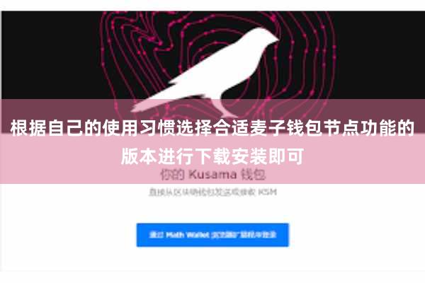 根据自己的使用习惯选择合适麦子钱包节点功能的版本进行下载安装即可