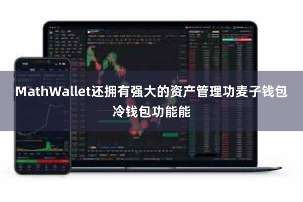 MathWallet还拥有强大的资产管理功麦子钱包冷钱包功能能