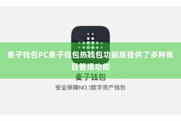 麦子钱包PC麦子钱包热钱包功能版提供了多种账目管理功能