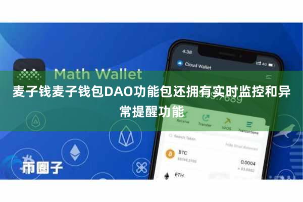 麦子钱麦子钱包DAO功能包还拥有实时监控和异常提醒功能