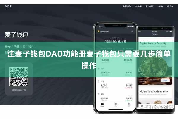 注麦子钱包DAO功能册麦子钱包只需要几步简单操作
