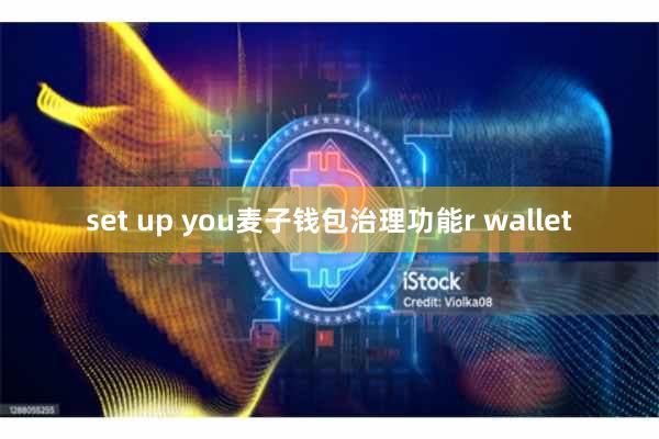 set up you麦子钱包治理功能r wallet