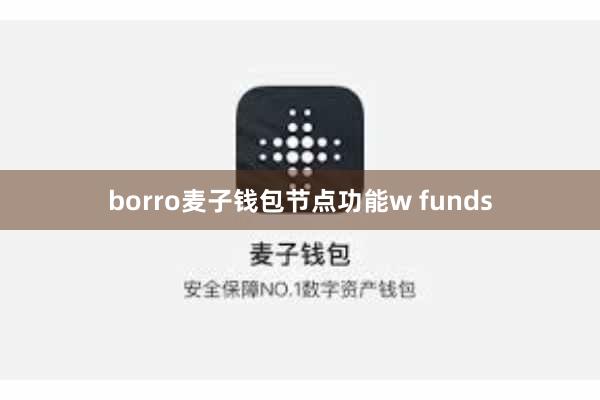 borro麦子钱包节点功能w funds