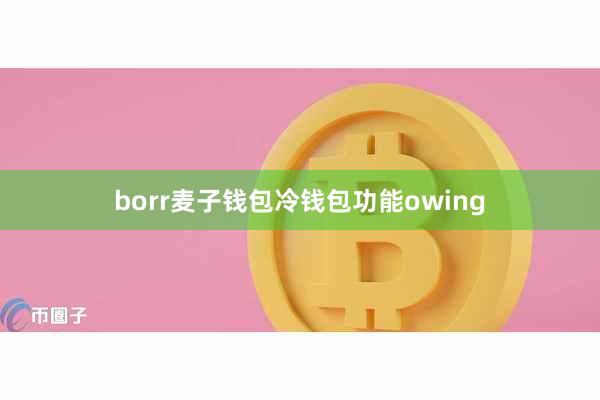 borr麦子钱包冷钱包功能owing