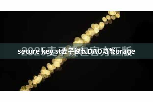 secure key st麦子钱包DAO功能orage