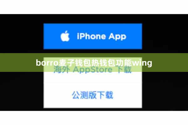 borro麦子钱包热钱包功能wing