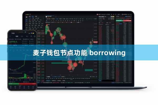 麦子钱包节点功能 borrowing