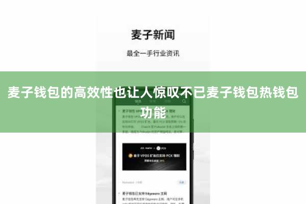 麦子钱包的高效性也让人惊叹不已麦子钱包热钱包功能