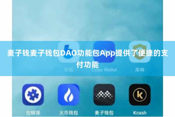 麦子钱麦子钱包DAO功能包App提供了便捷的支付功能