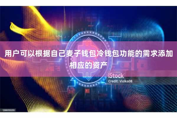 用户可以根据自己麦子钱包冷钱包功能的需求添加相应的资产