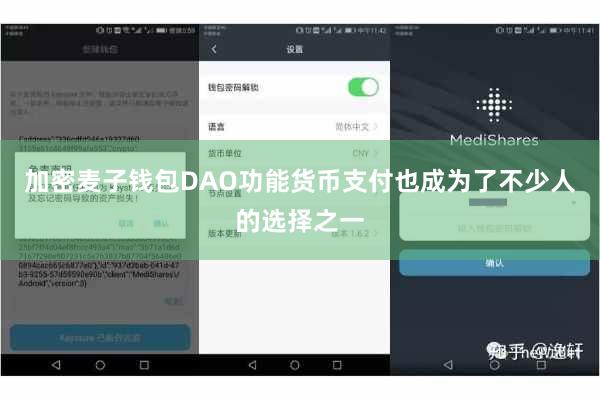 加密麦子钱包DAO功能货币支付也成为了不少人的选择之一