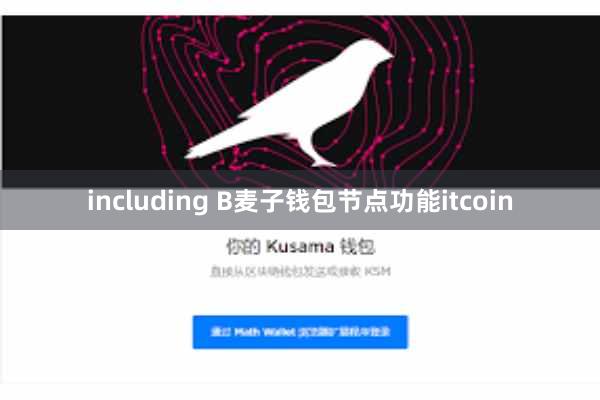 including B麦子钱包节点功能itcoin