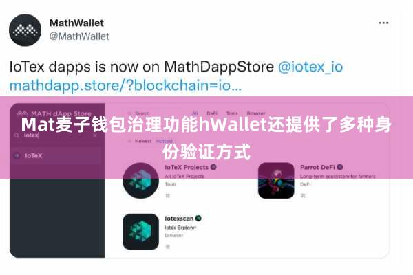 Mat麦子钱包治理功能hWallet还提供了多种身份验证方式