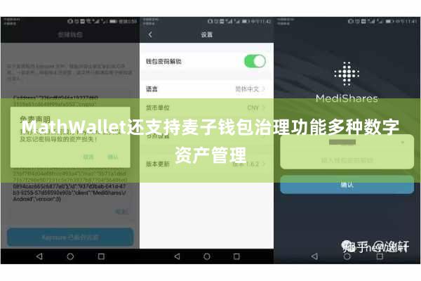 MathWallet还支持麦子钱包治理功能多种数字资产管理